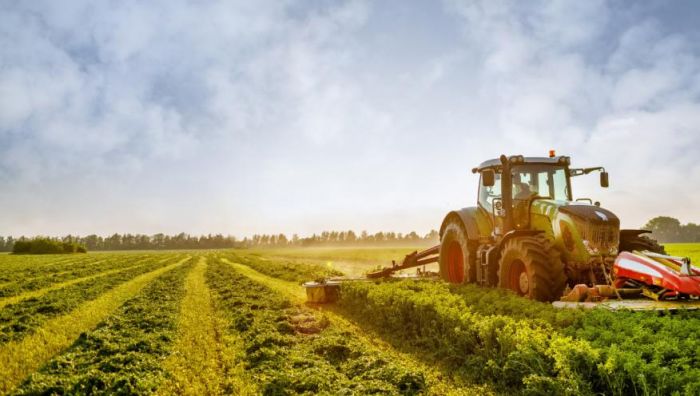 Junta de Freguesia de Azambuja promove a&ccedil;&otilde;es de forma&ccedil;&atilde;o na &aacute;rea agr&iacute;cola