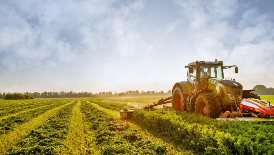 Junta de Freguesia de Azambuja promove a&ccedil;&otilde;es de forma&ccedil;&atilde;o na &aacute;rea agr&iacute;cola