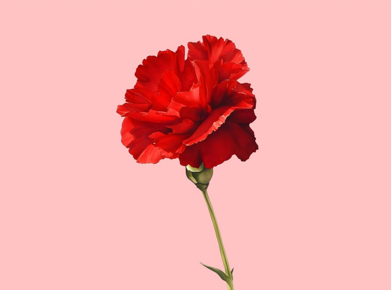 Festa das Coletividades